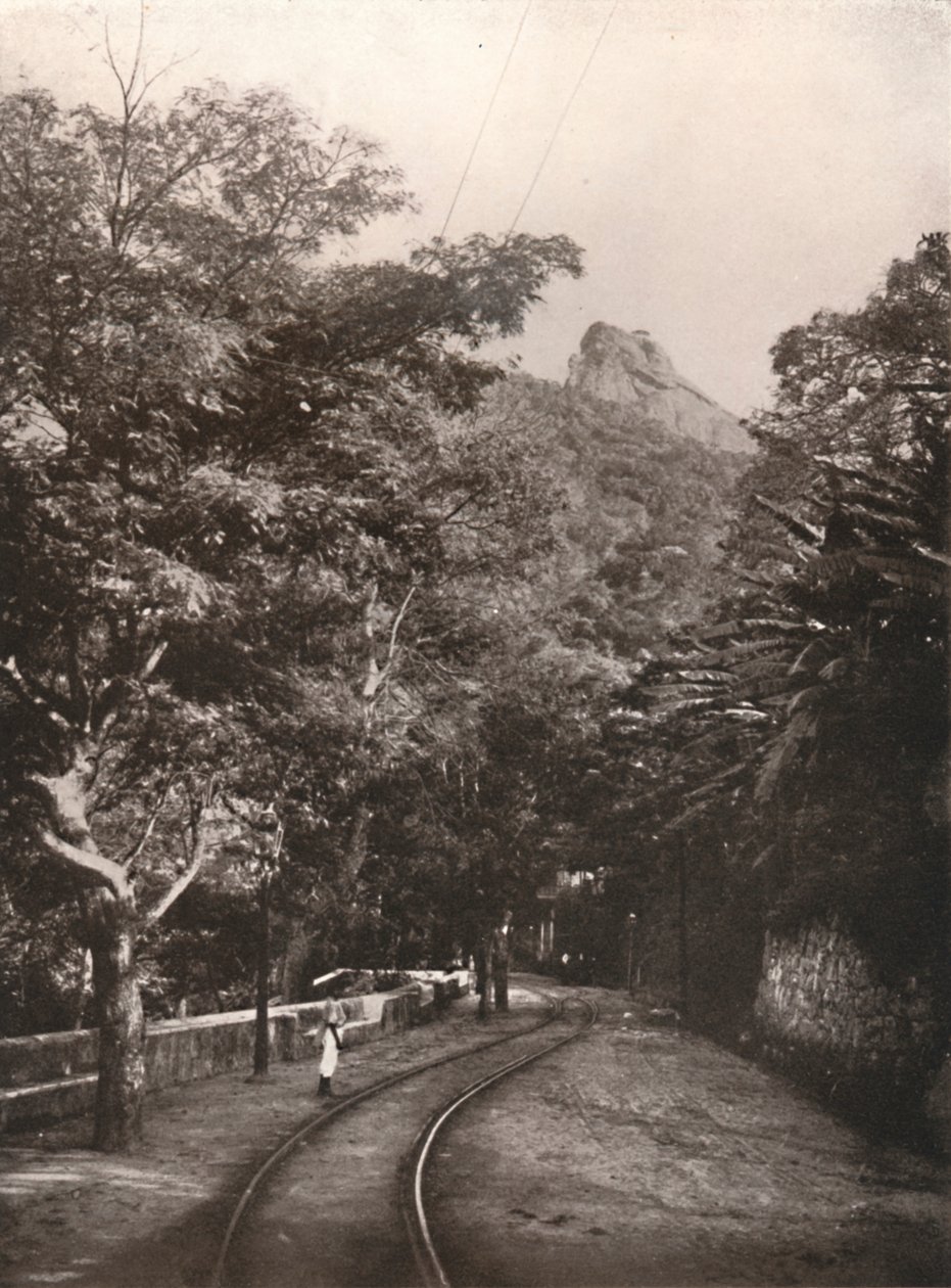 在前往Corcorado的路上，1914年 作者 不明