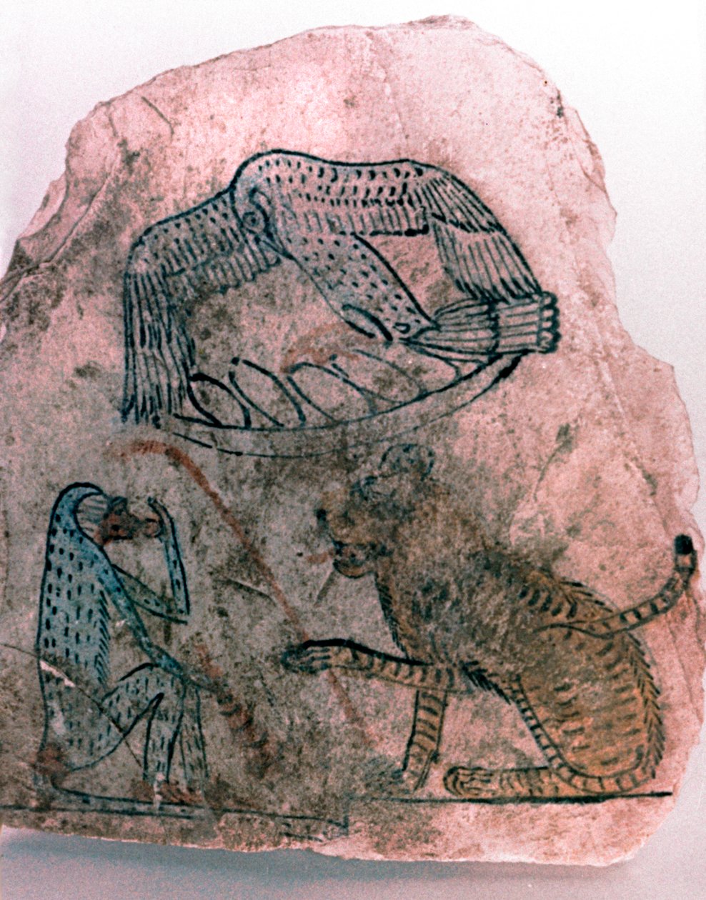 Ostracon片段，猎豹，鸟和猴子，埃及 作者 不明