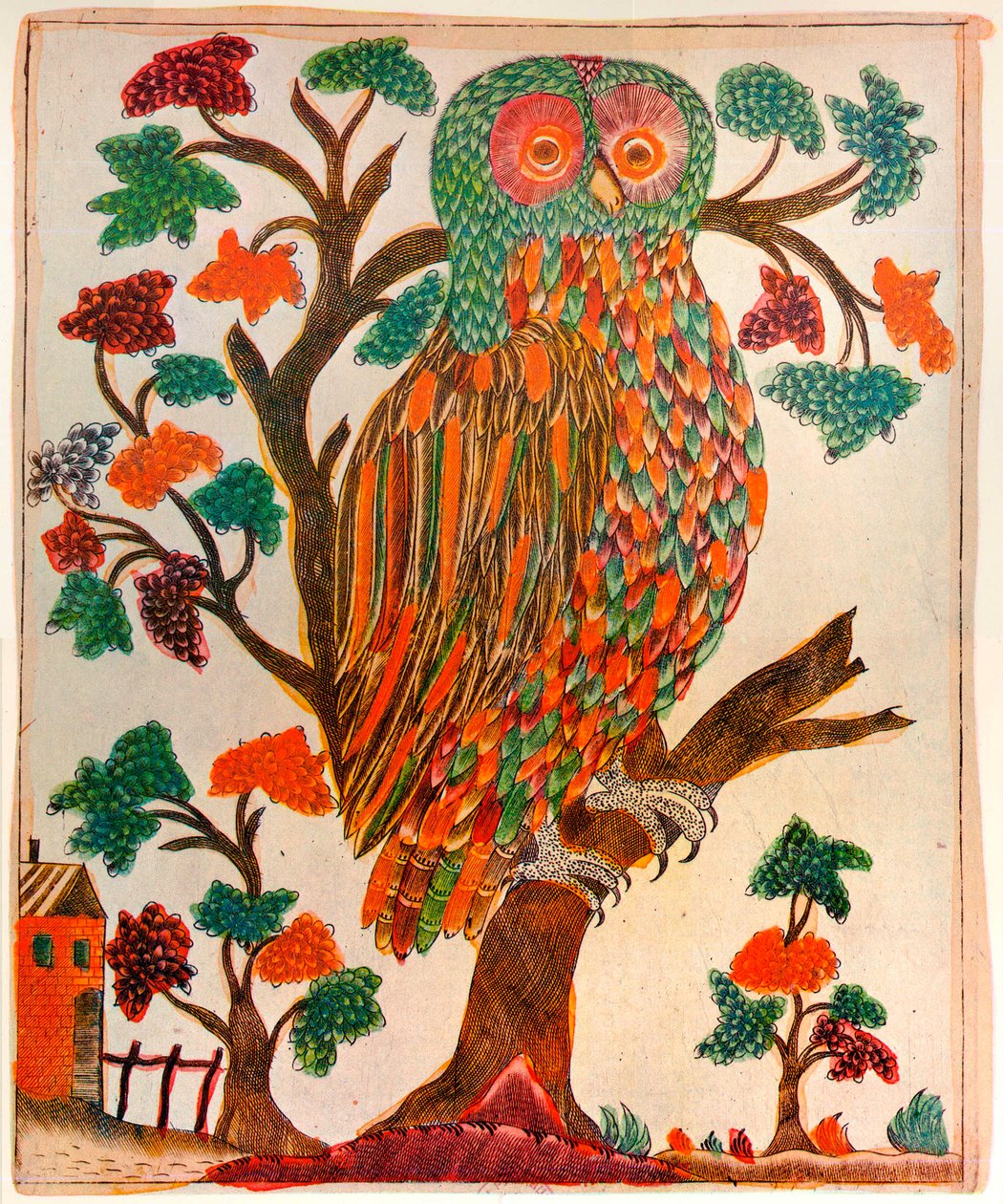 猫头鹰，1800年 作者 不明