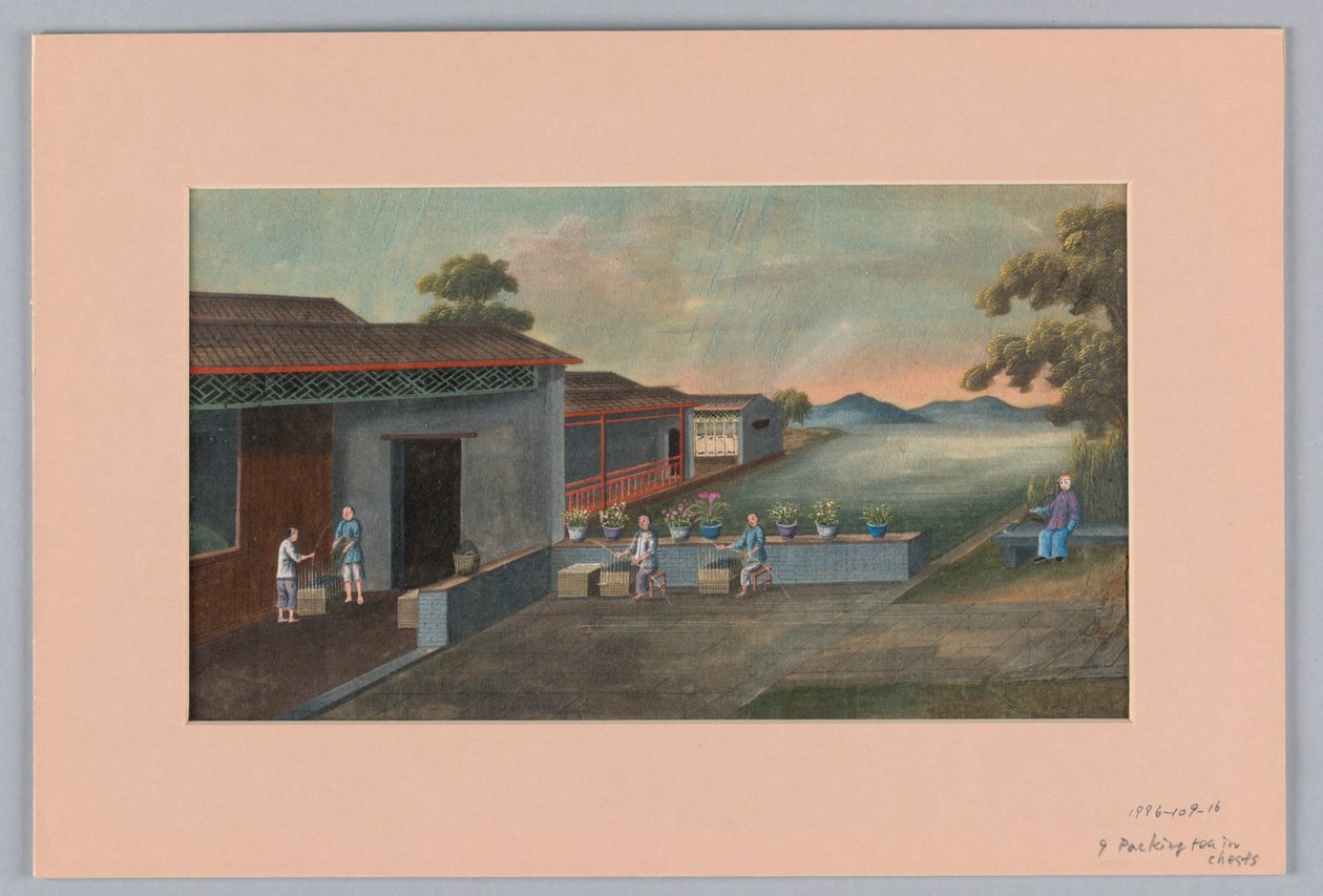 用箱子包装茶叶，1890-1910年 作者 不明