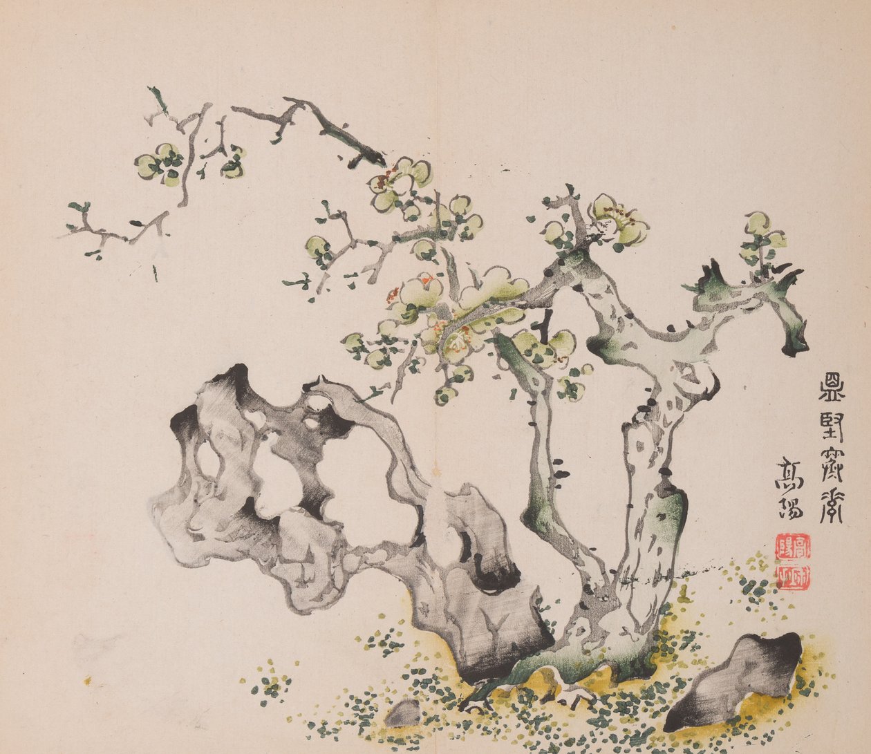 石竹斋的页面。 作者 不明