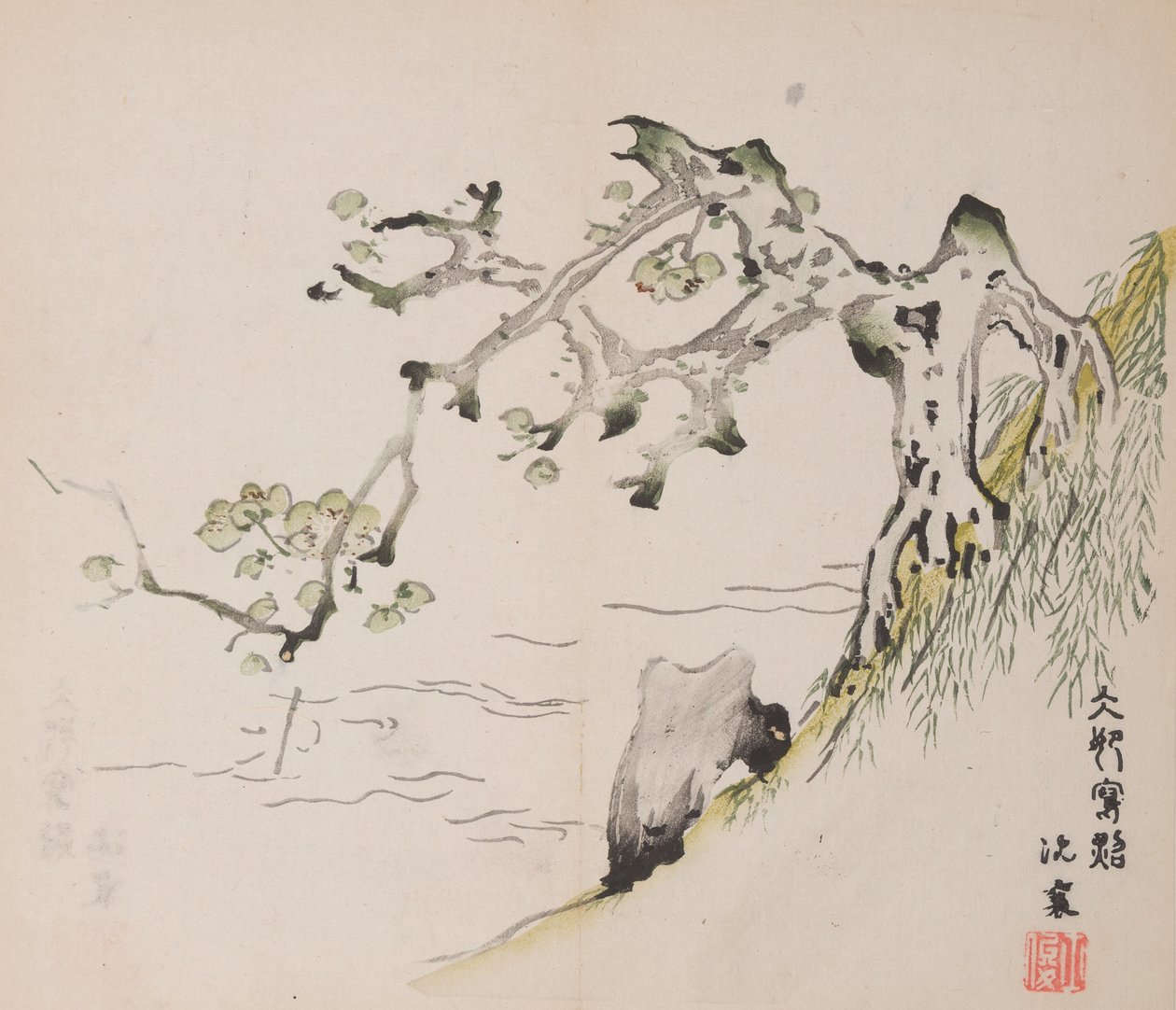 石竹斋的页面。 作者 不明