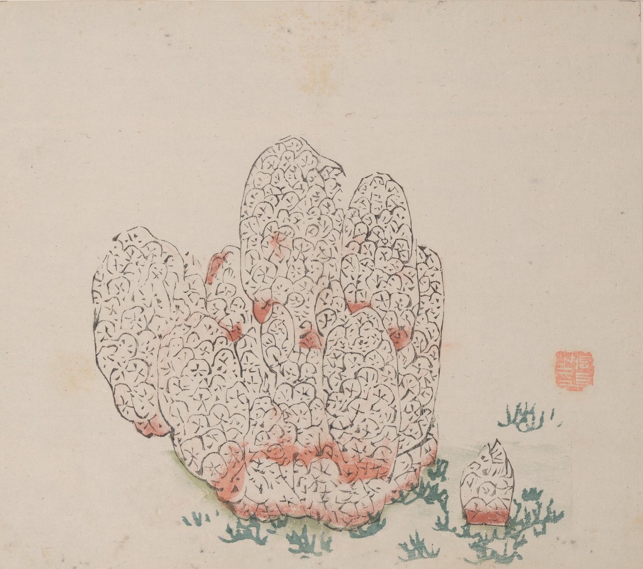 石竹斋的页面。 作者 不明