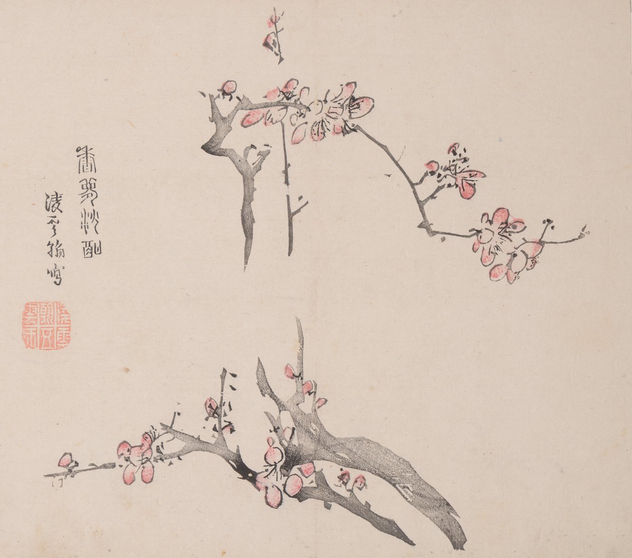 石竹斋的页面。 作者 不明