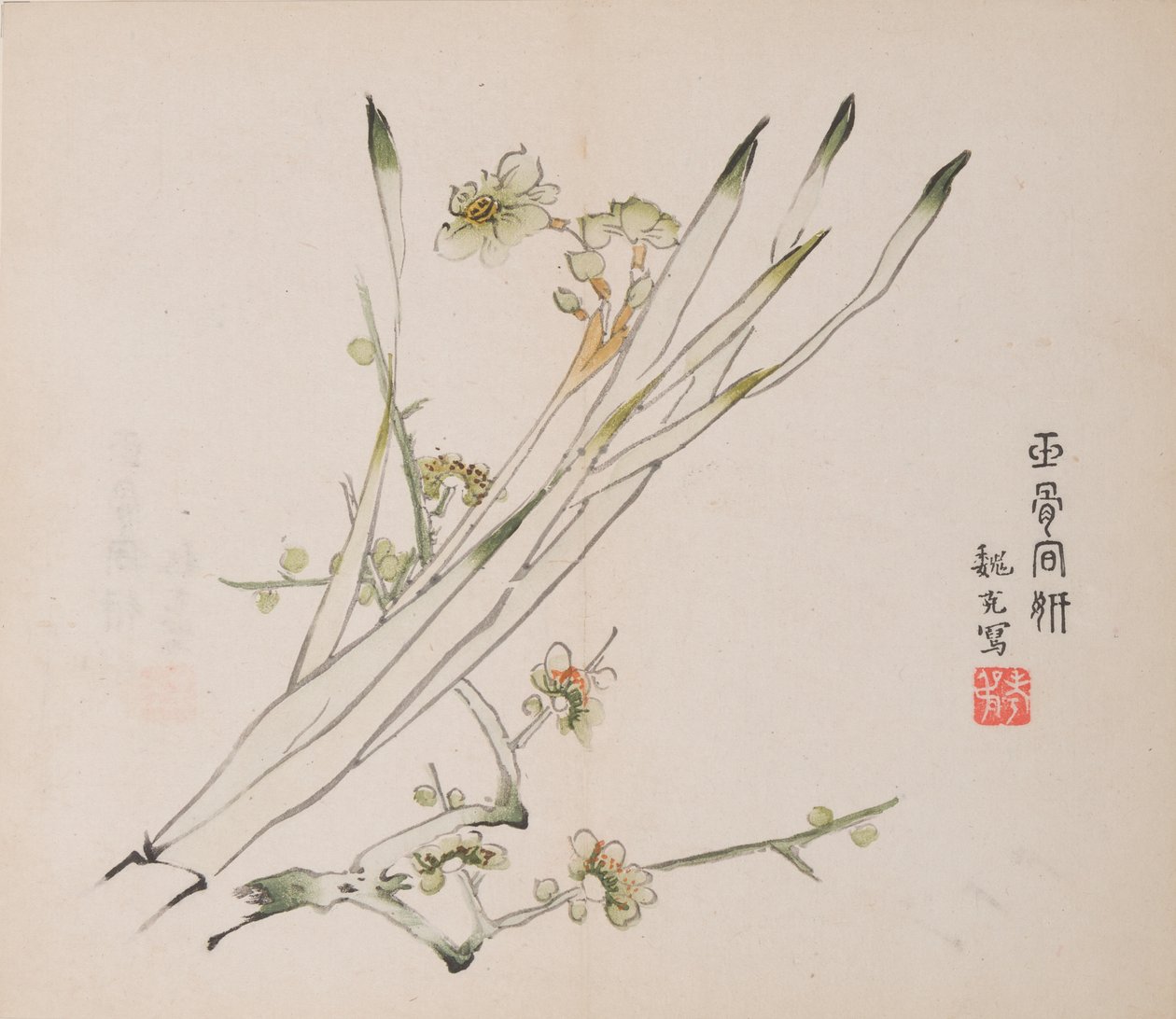 石竹斋的页面。 作者 不明