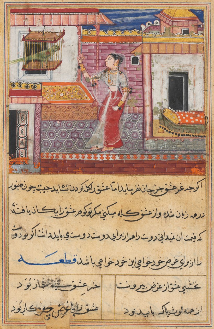 从鹦鹉的故事中传来的书Tuti-nama：第十三夜：这只鹦鹉的名字是Khujasta ...，c。 1560 作者 不明