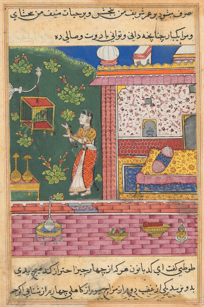 从鹦鹉的故事中传来的页Tuti-nama：第三十个晚上：鹦鹉在Khujasta ...，c。 1560。 作者 不明