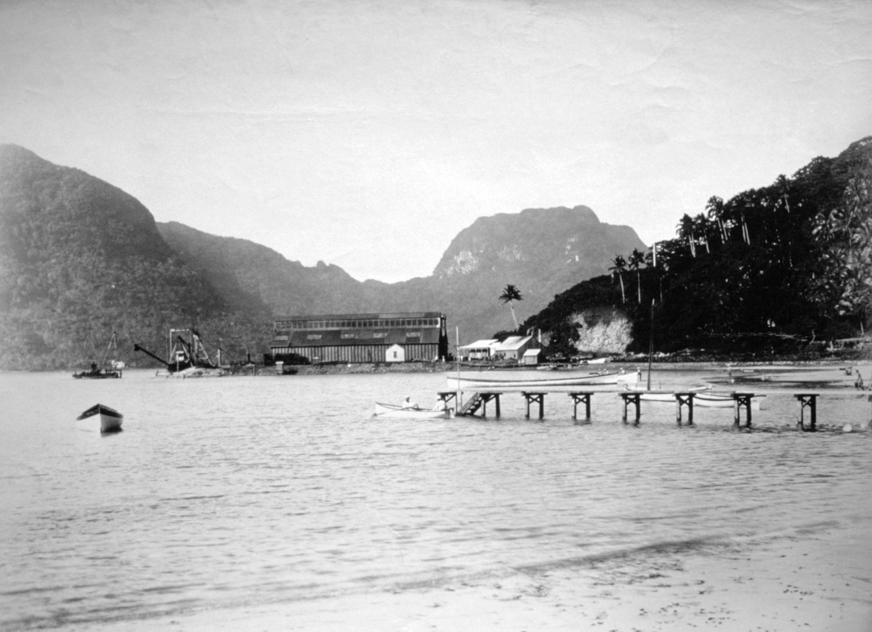 帕果帕果港口，位于美属萨摩亚图图伊拉岛，1889年 作者 不明