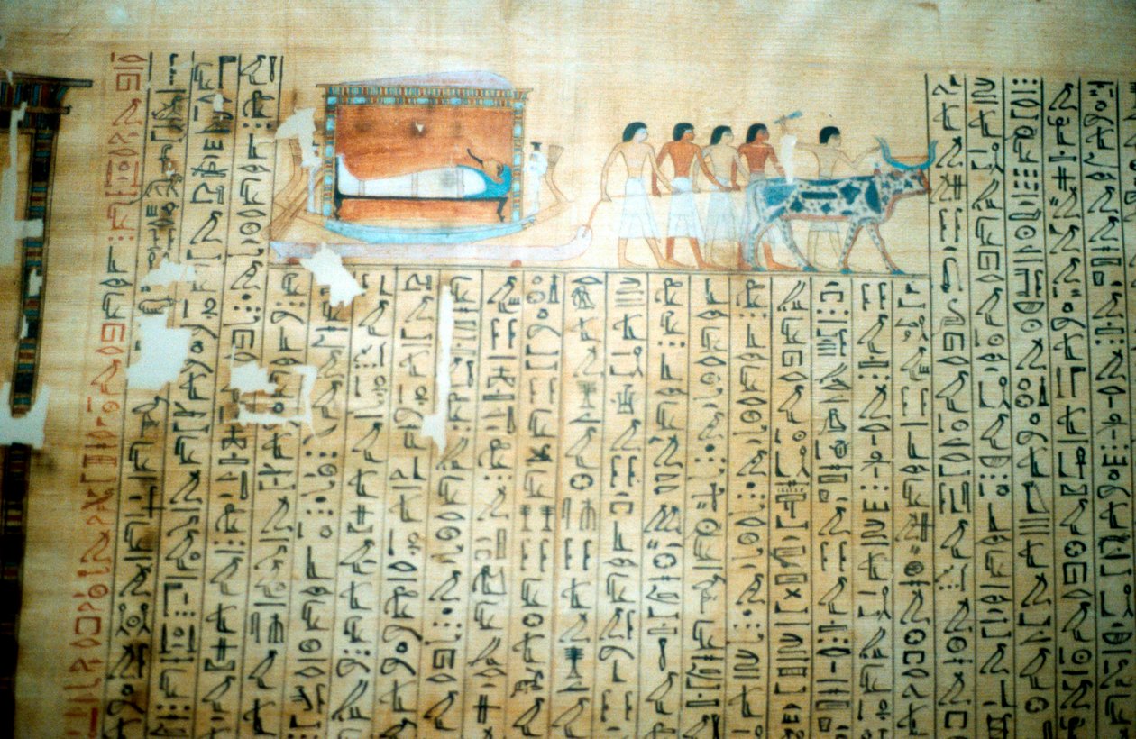 纸莎草纸从古埃及死者书中 作者 不明