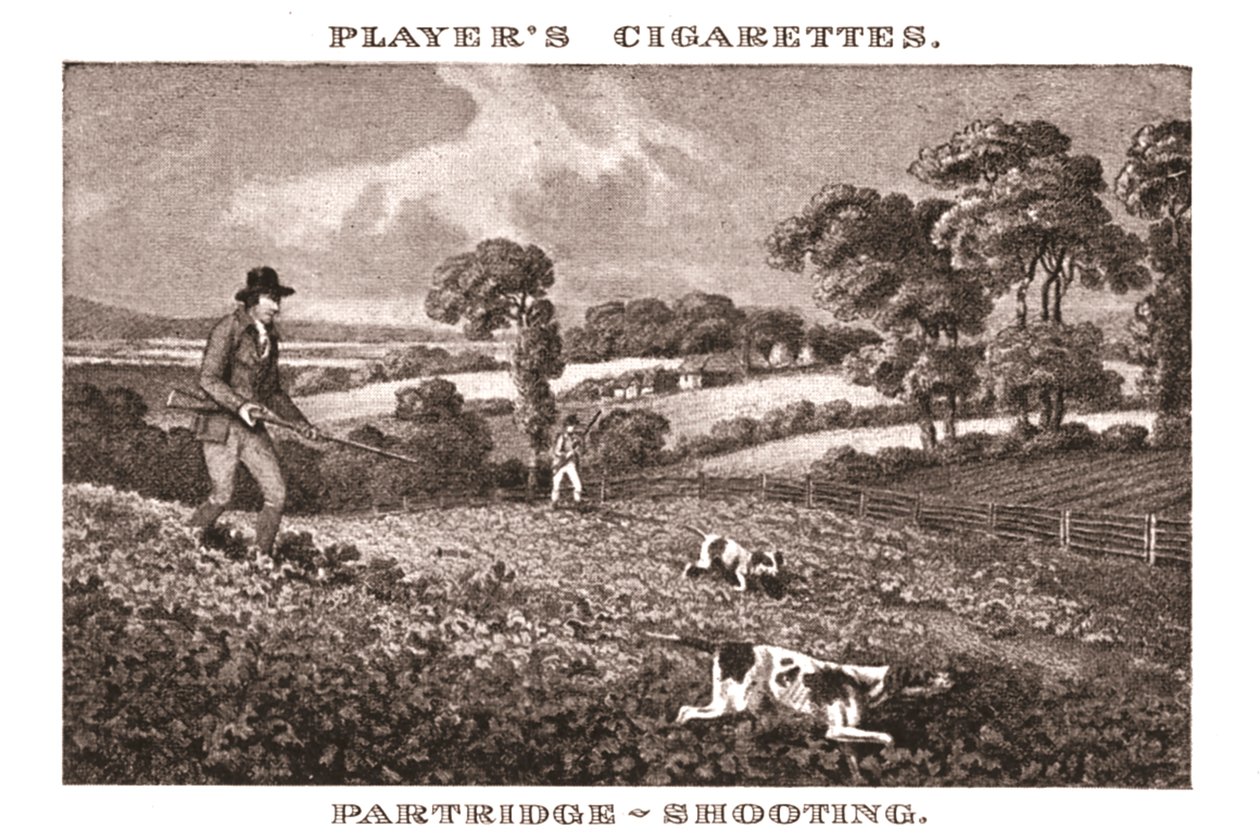 Partridge-Shooting，1924年。 作者 不明