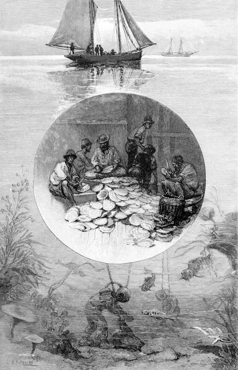 珍珠渔业，澳大利亚托雷斯海峡，1886年 作者 不明