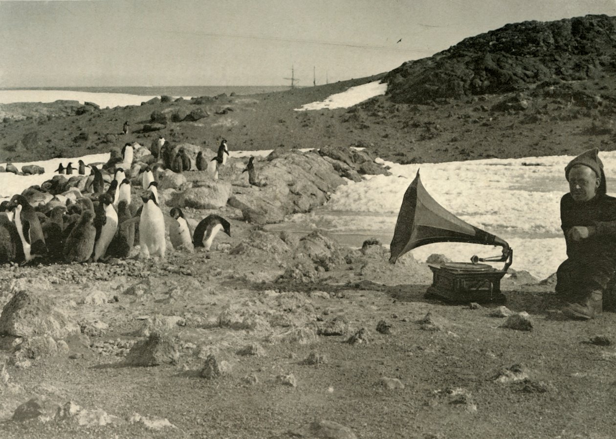 企鹅在1908年，1909年夏天听留声机 作者 不明