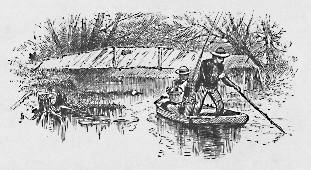 1883年在湖上栖息的鲈鱼 作者 不明