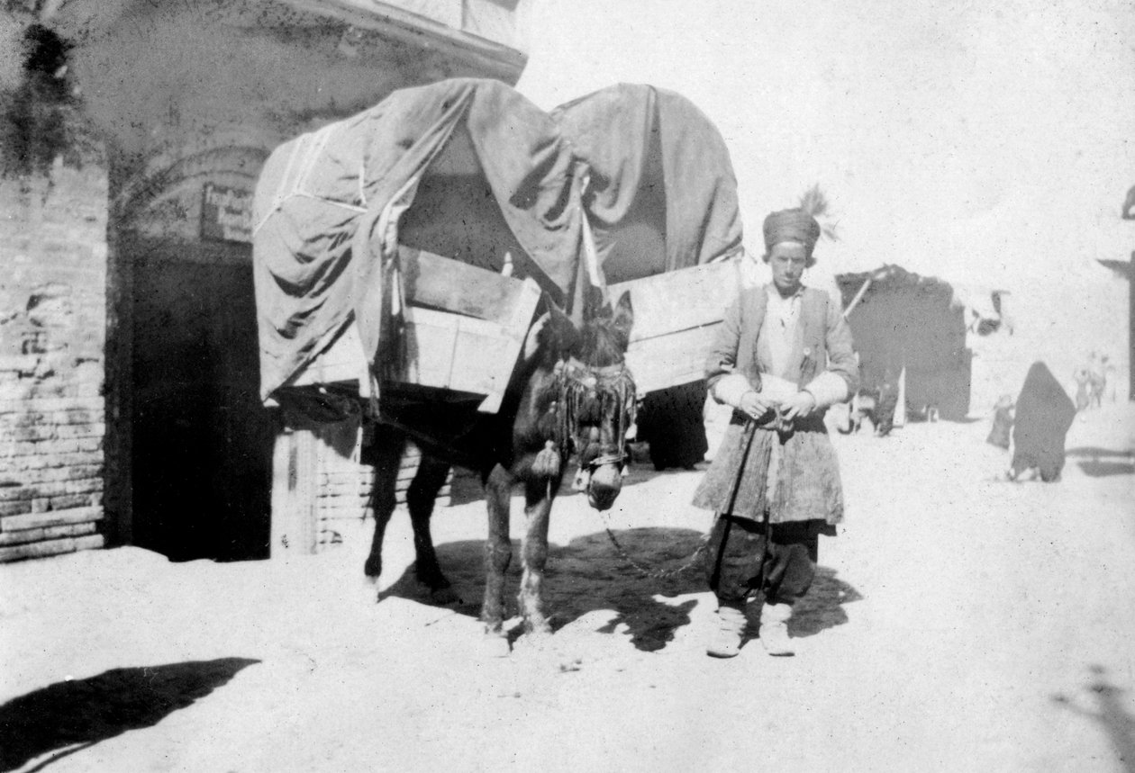 波斯驴运输，伊拉克巴格达，1917-1919年 作者 不明