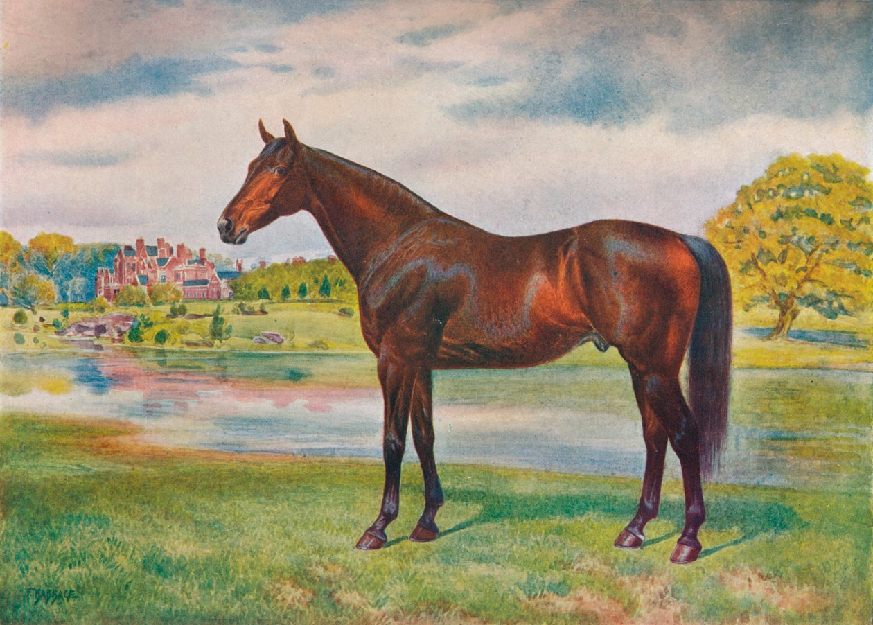 柿子，c1905 c1910 作者 不明