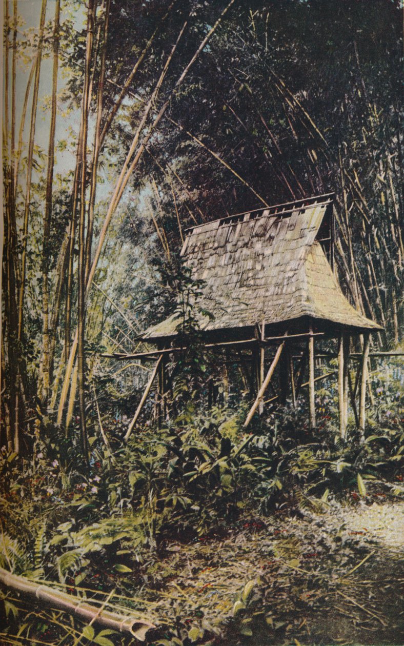 菲律宾群岛，c1930年代 作者 不明