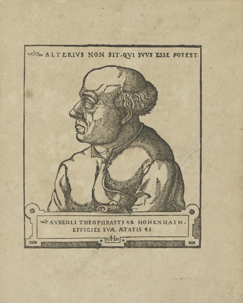 Philippus Theophrastus Aureolus Bombastus von Hohenheim Paracelsus，约1538年。 作者 不明