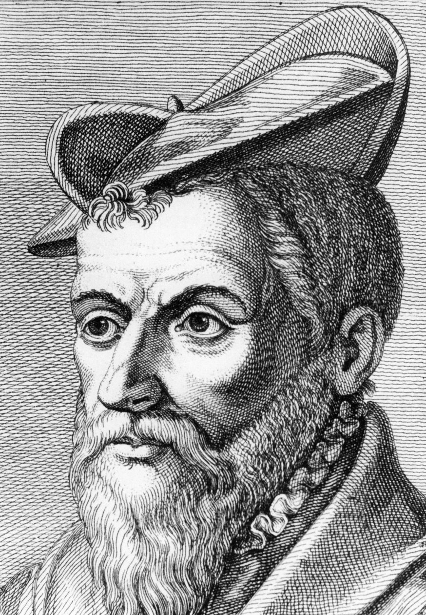 皮埃尔·贝隆（Pierre Belon），法国博物学家，1553年1762年 作者 不明