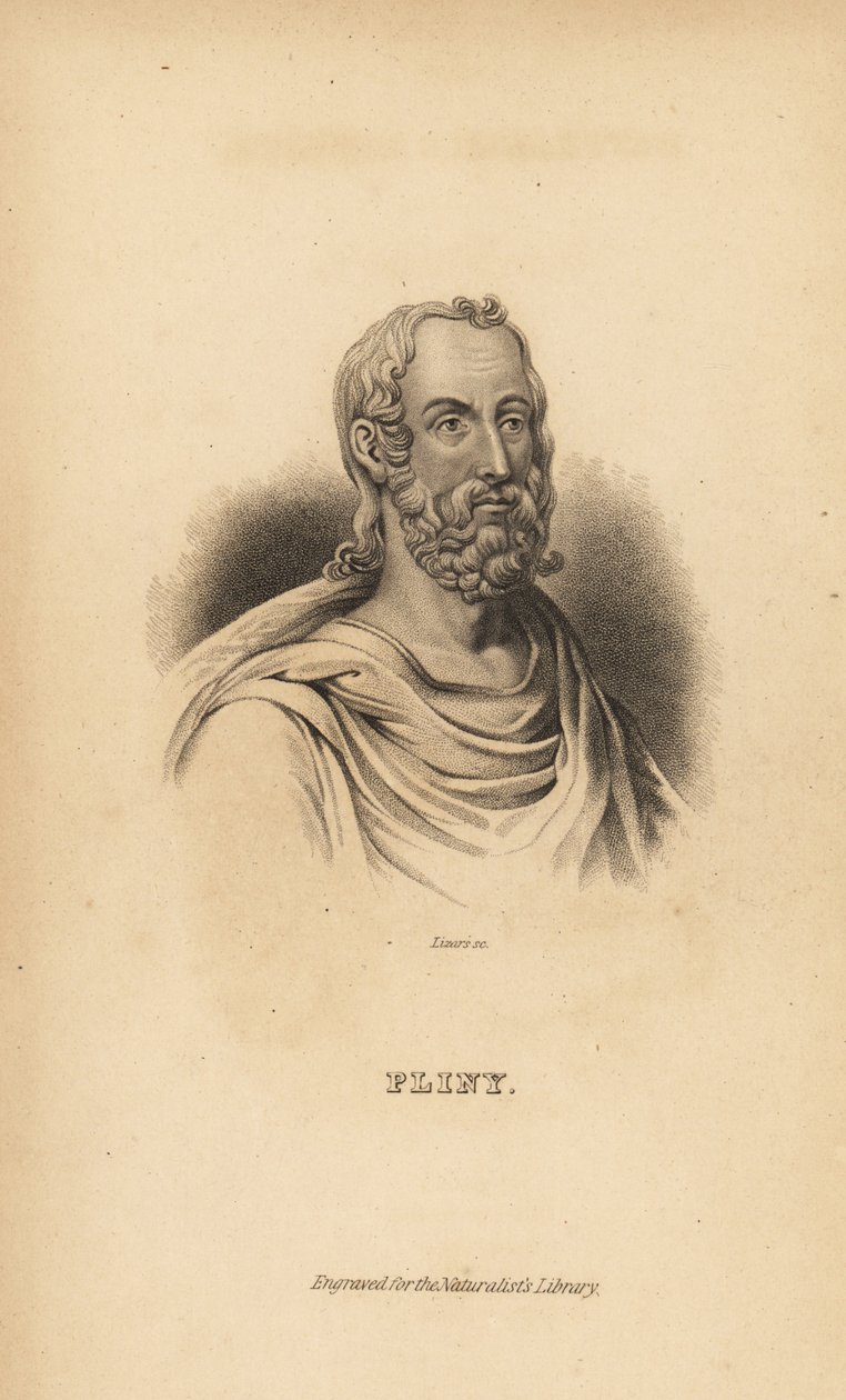 老普林尼 (Gaius Plinius Secundus)，罗马作家、博物学家和自然哲学家，公元 23-79 年 作者 不明
