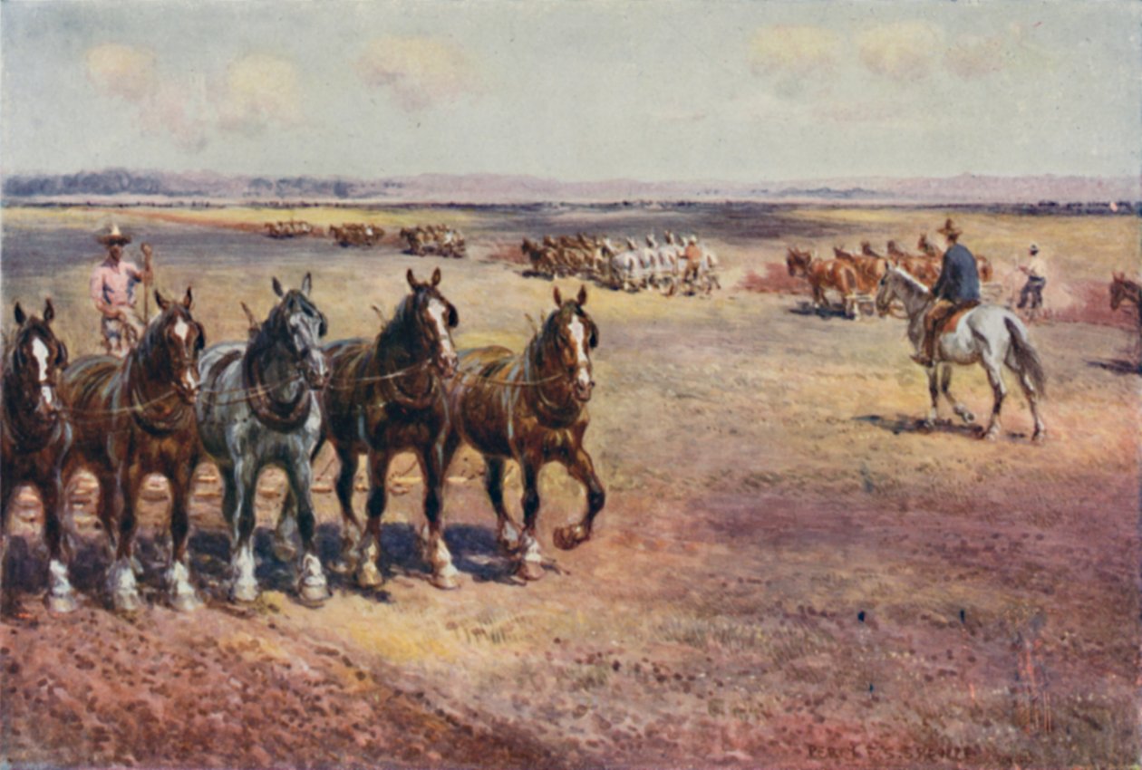 大规模耕作，1923年。 作者 不明