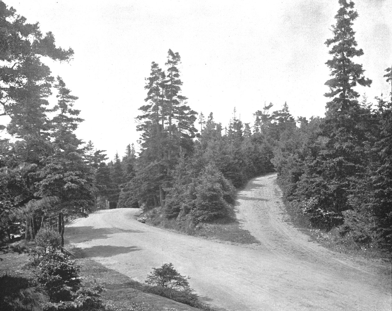 Point Pleasant Park，加拿大新斯科舍省哈利法克斯，摄于1900年。 作者 不明