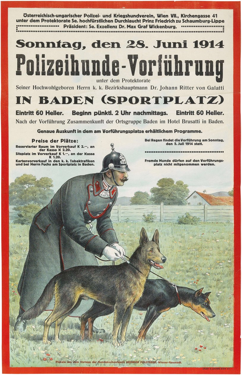 巴登的警犬示威活动，1914年。 作者 不明