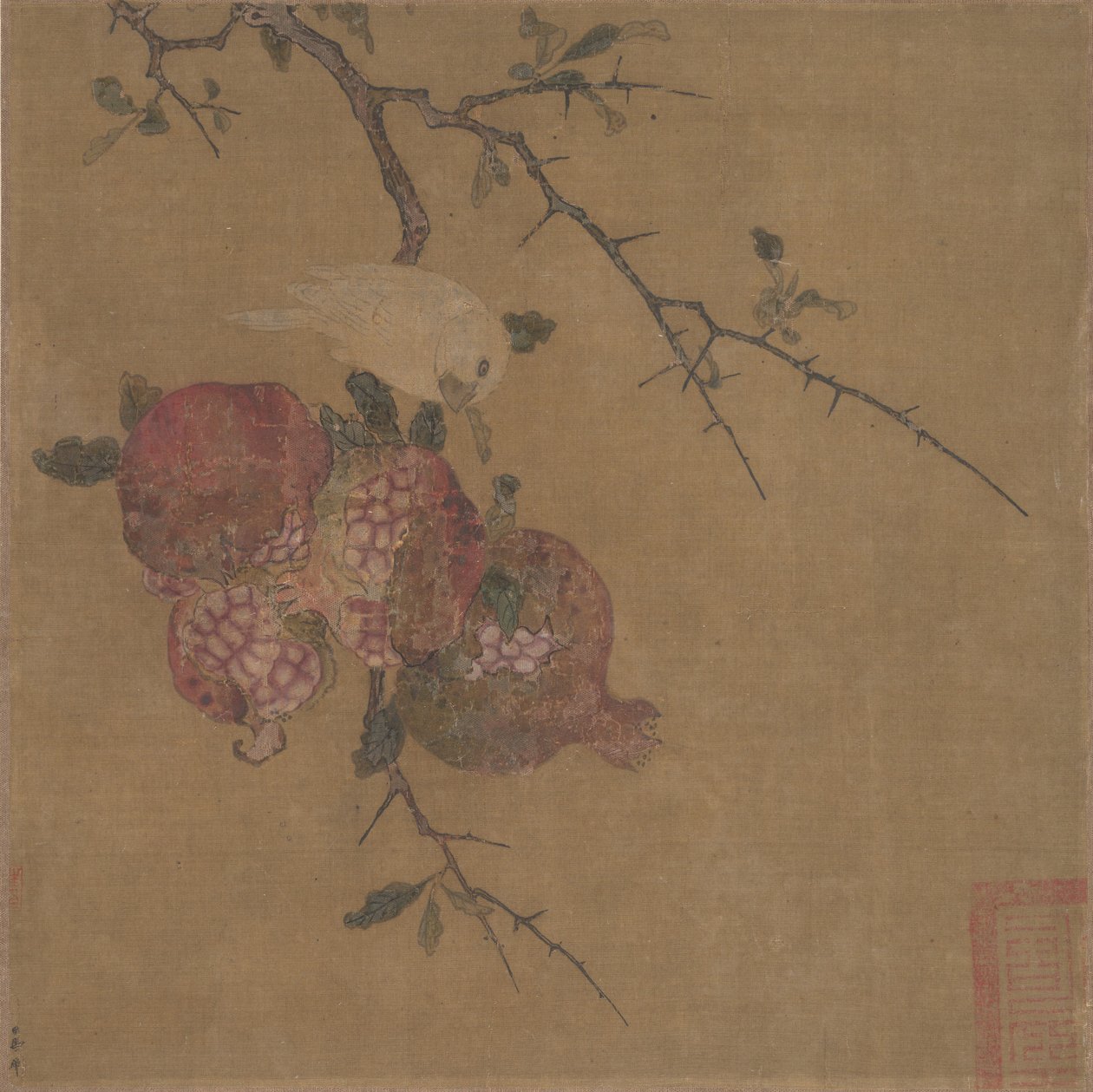 石榴 作者 不明