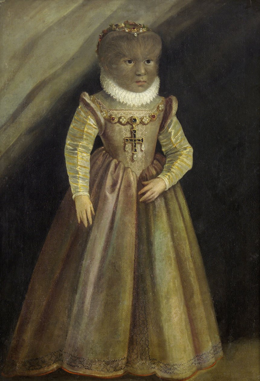 Antonietta Gonsalvus的肖像，c。 1580。 作者 不明