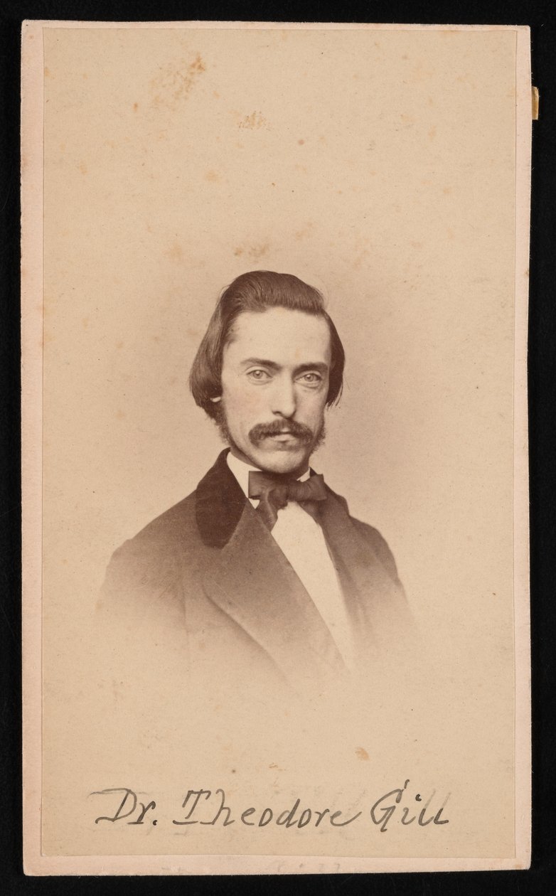 西奥多-尼古拉斯-吉尔的肖像，1837-1914年，约1860年代。 作者 不明