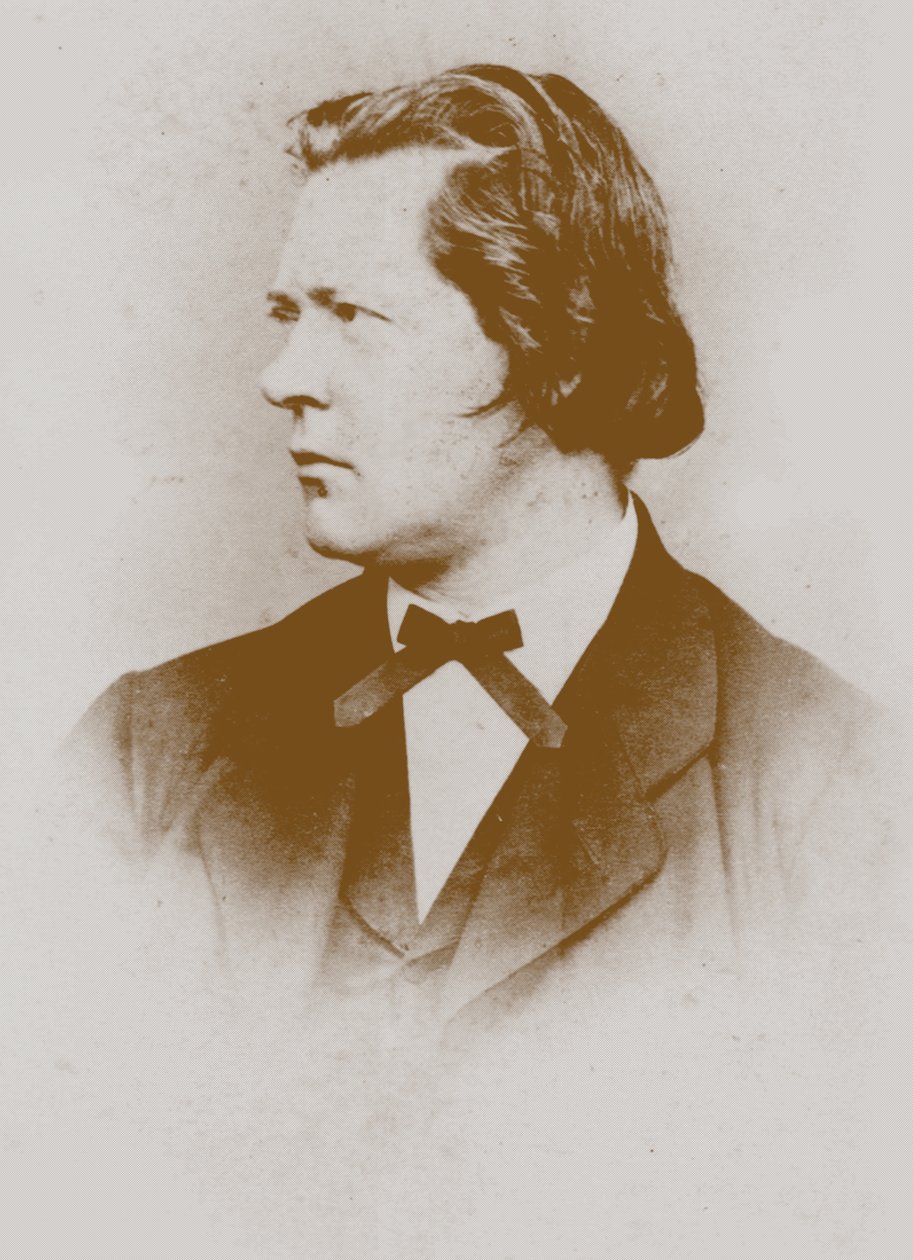 管风琴和作曲家西奥多·基希纳（Theodor Kirchner）1823-1903年的肖像。 作者 不明