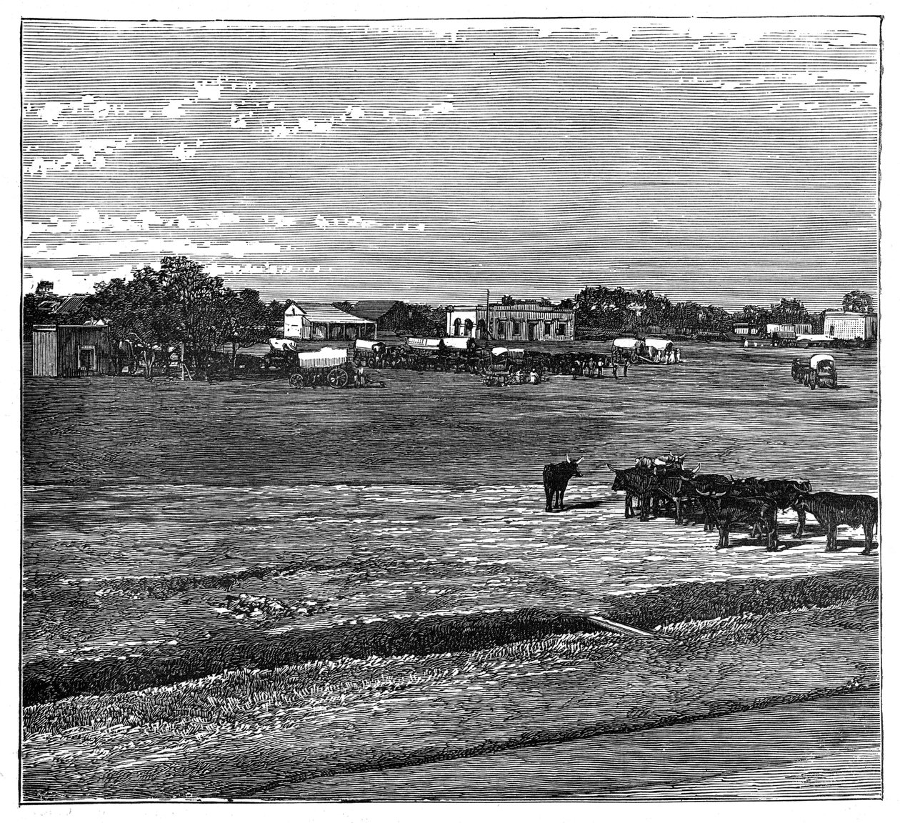 Potchefstroom，德兰士瓦，南非，大约1890年 作者 不明