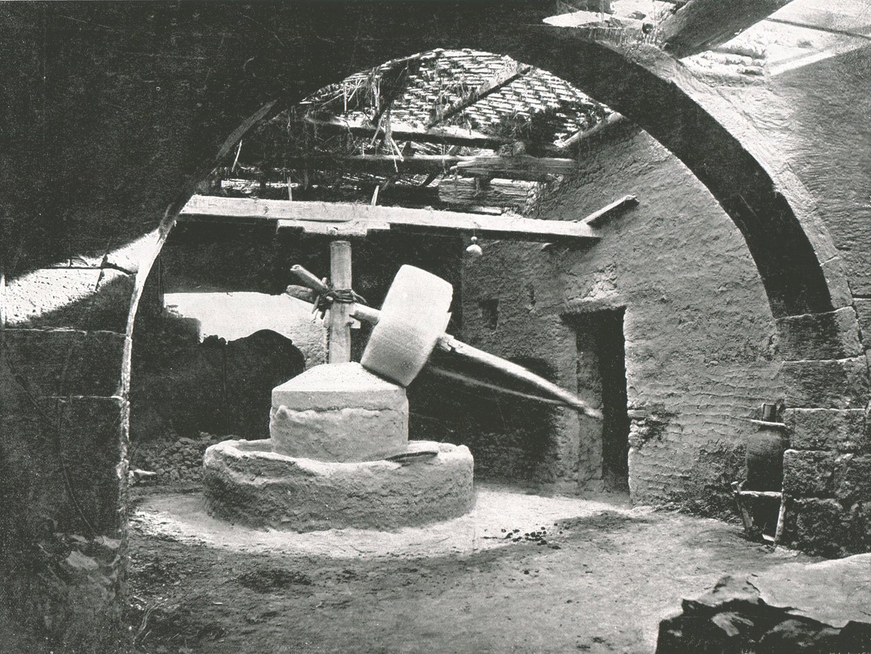 原始玉米磨坊，埃及尼罗河三角洲，1895年。 作者 不明