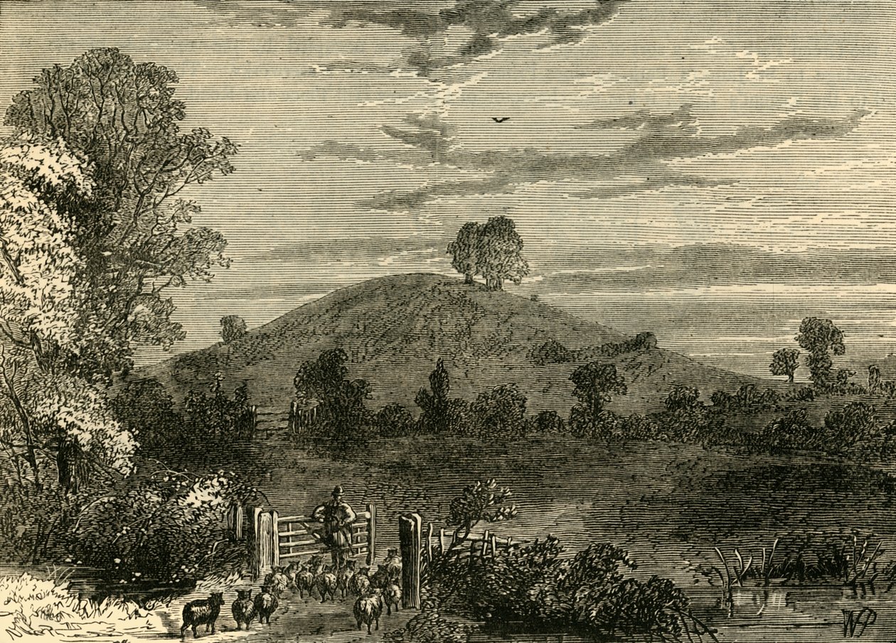1780年，报春花山，1876年。 作者 不明