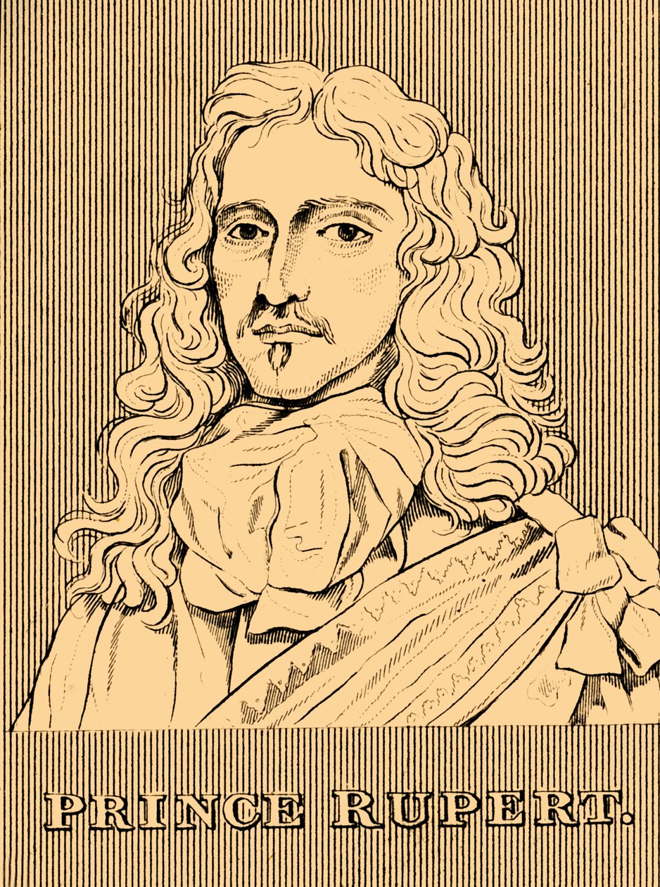 鲁珀特王子（Prince Rupert），1619-1682年，1830年。 作者 不明