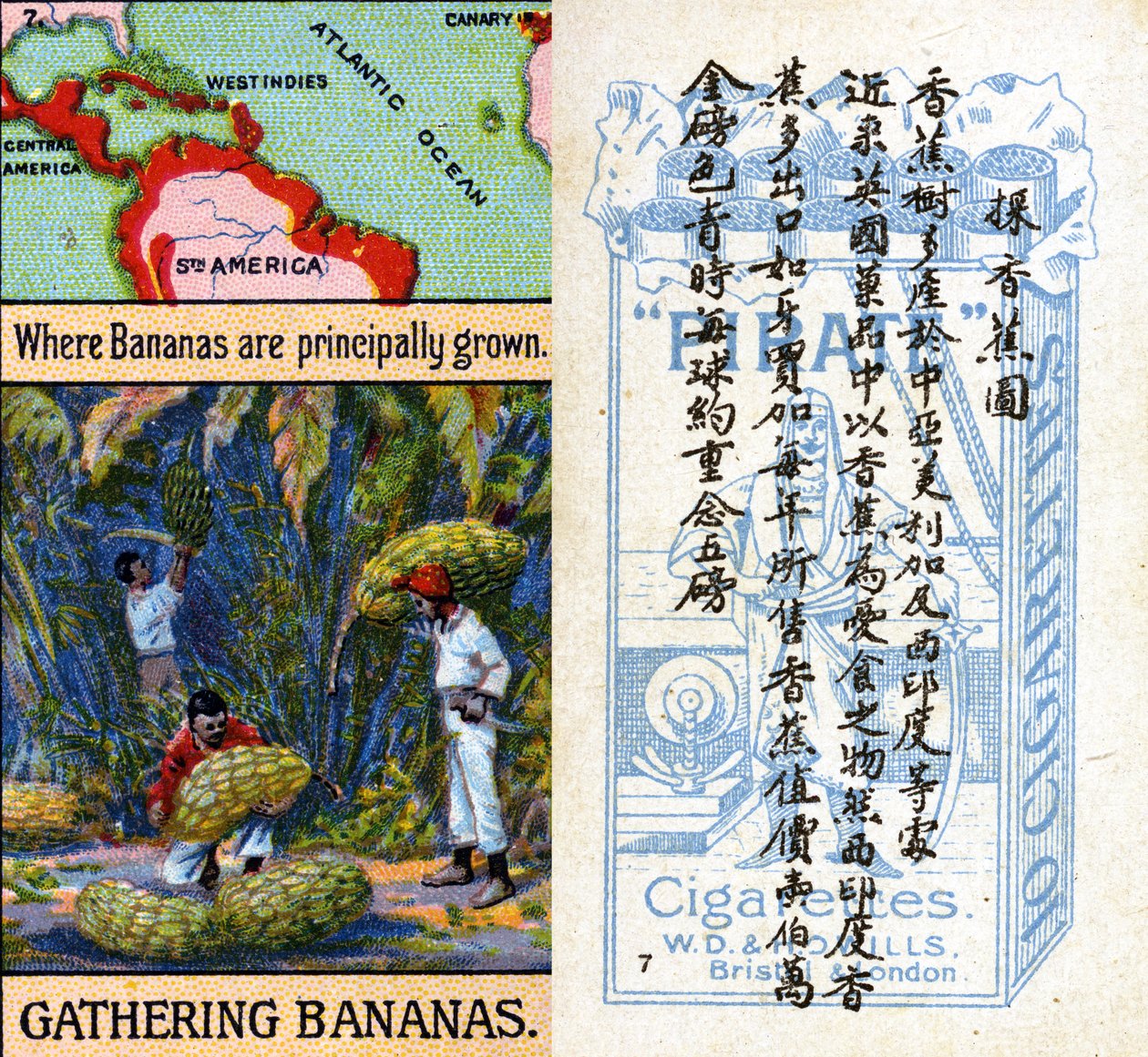 种植香蕉的主要地区，来自威尔斯 "海盗 "香烟为中国市场制作的 "世界产品 "系列烟卡。 作者 不明