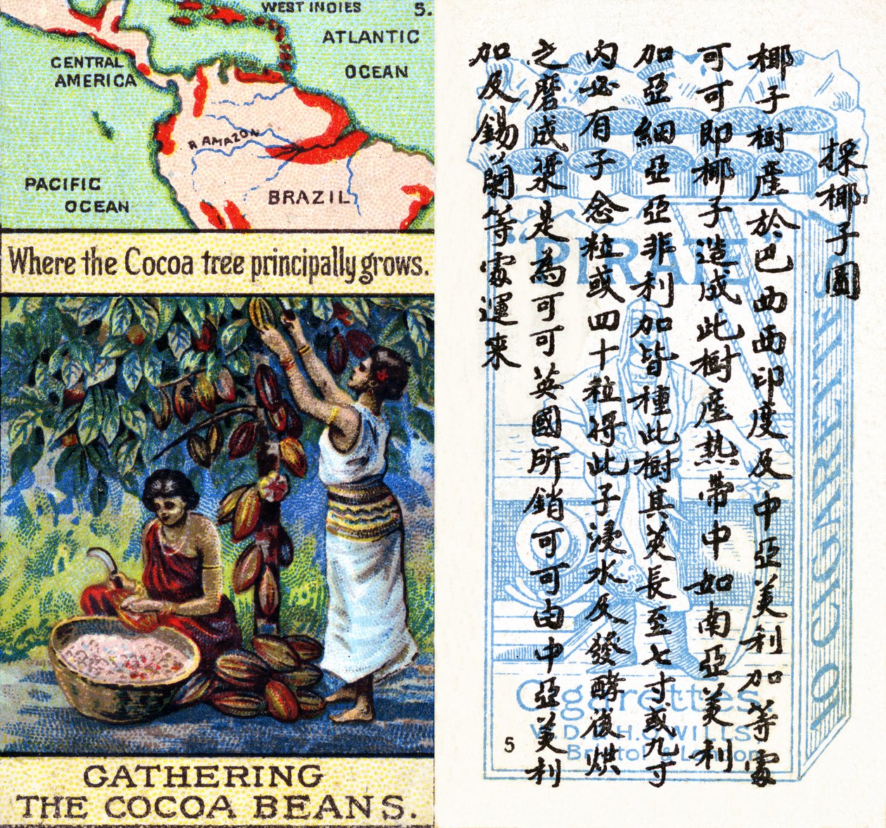 可可生产的主要地区，来自威尔斯 "海盗 "香烟为中国市场制作的 "世界产品 "系列烟卡。 作者 不明