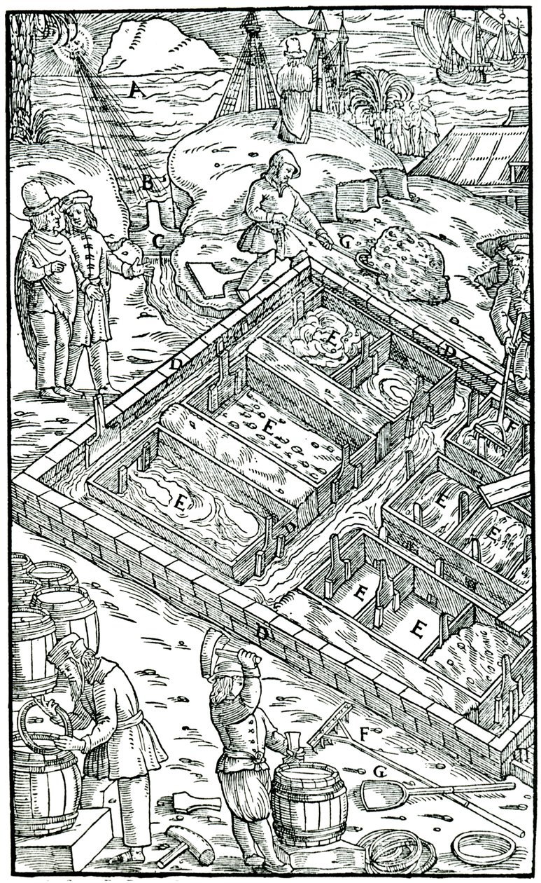 通过蒸发盐罐中的海水来生产盐，1556年 作者 不明