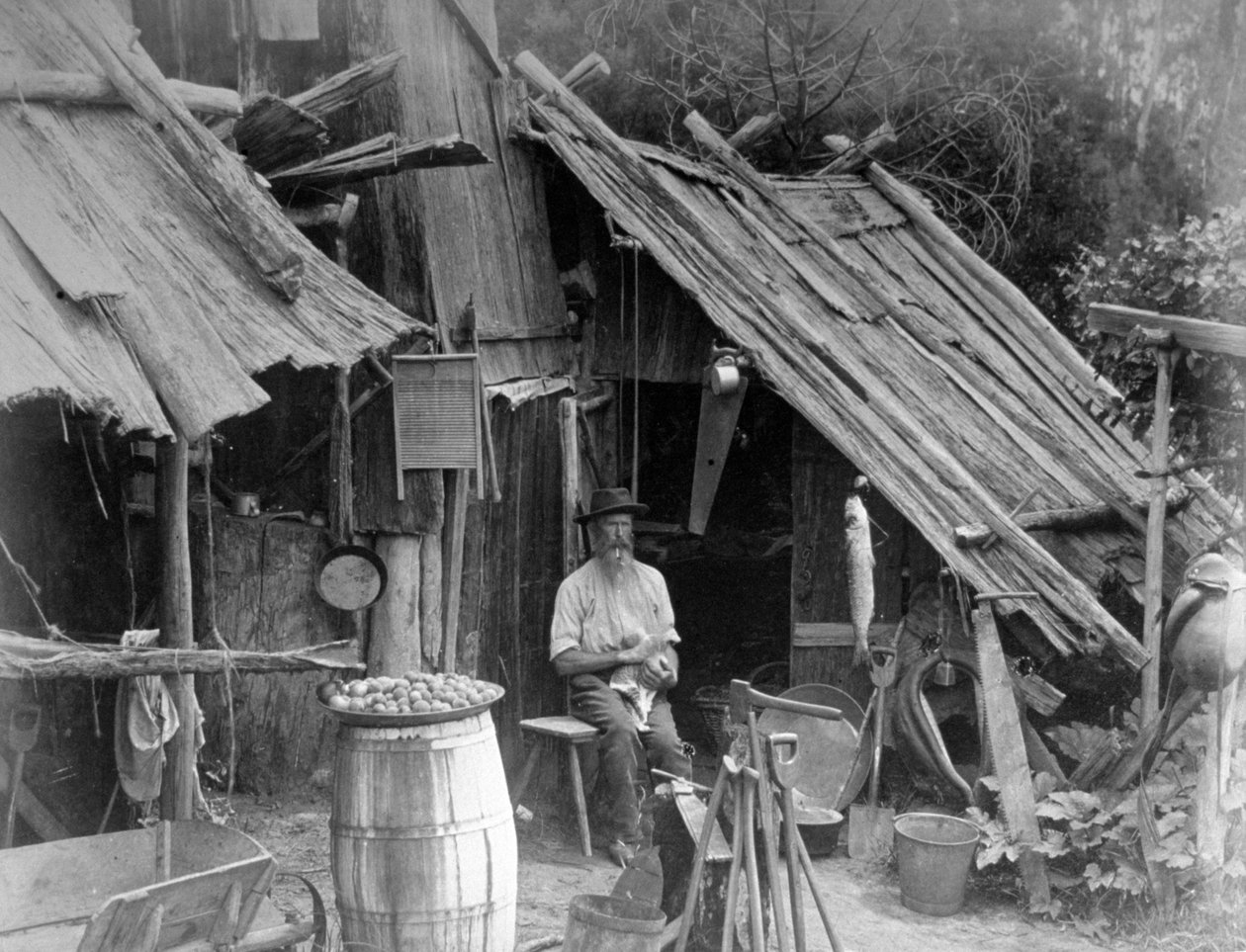 勘探者，吉普斯兰，维多利亚，澳大利亚，1886年 作者 不明