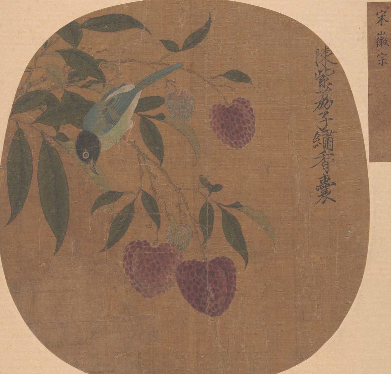 紫色荔枝和鸟。 作者 不明