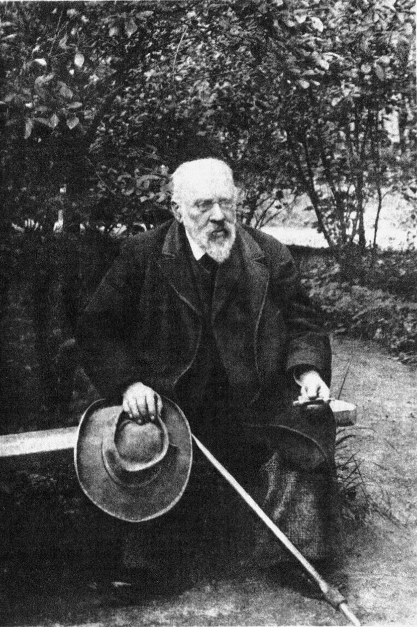 彼得·伊万诺维奇·巴特涅夫1829-1912，1900年代 作者 不明