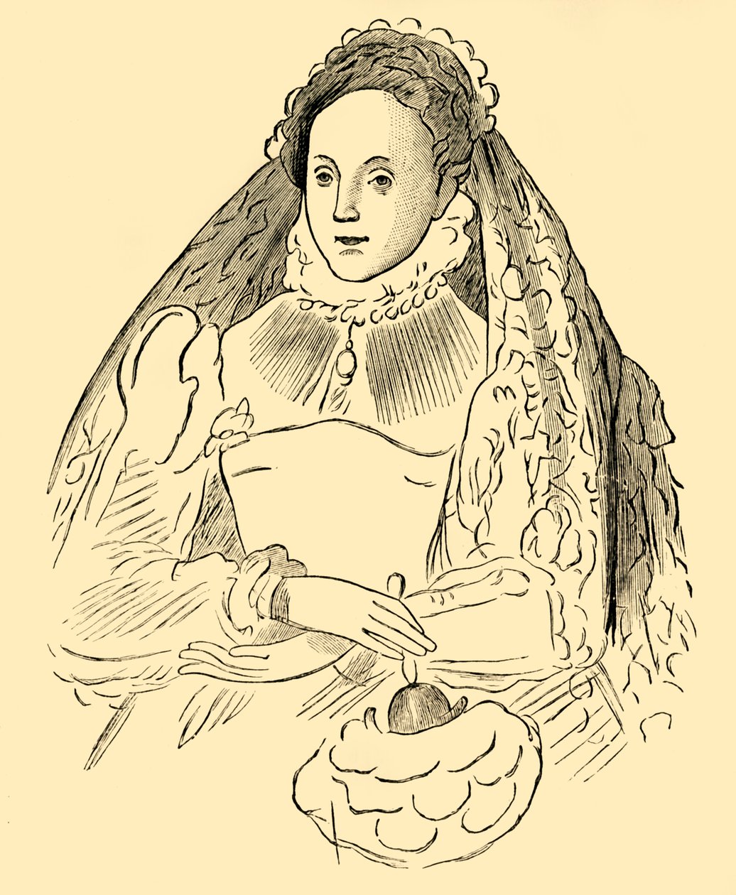 伊丽莎白女王（Queen Elizabeth），1881年。 作者 不明