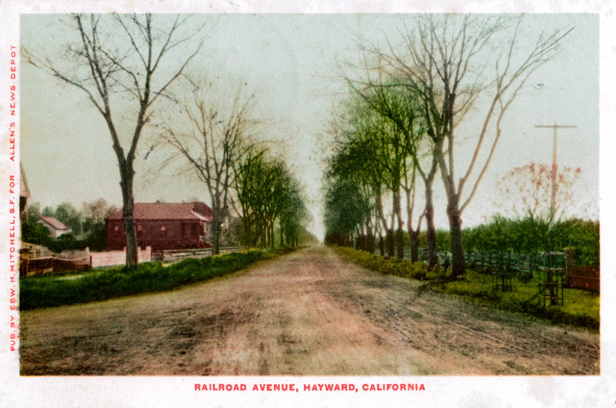 加利福尼亚州海沃德铁路大道，1905年 作者 不明