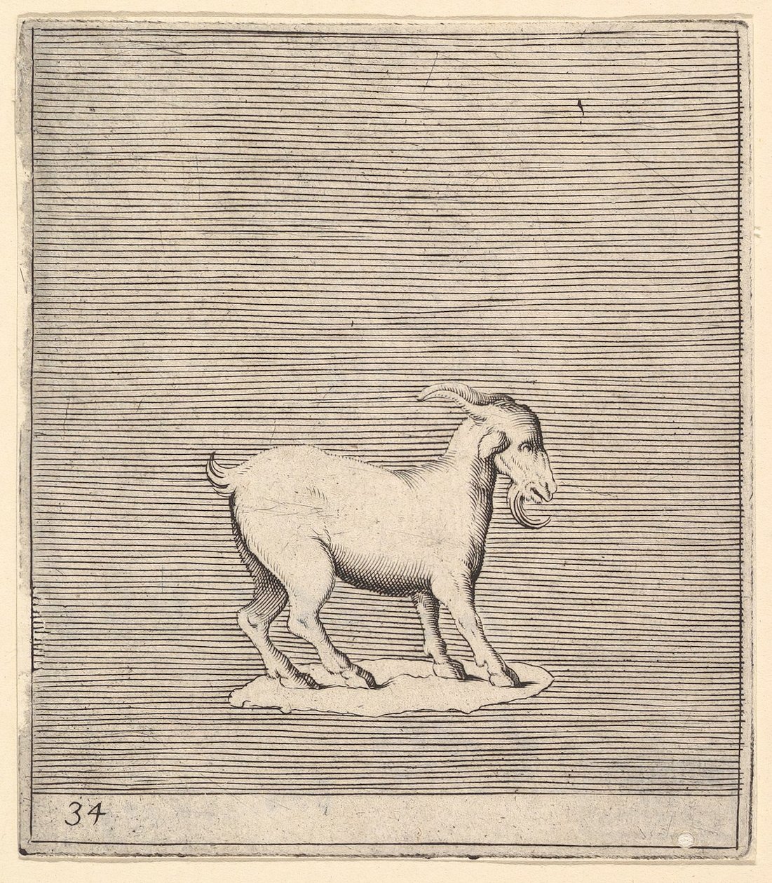 拉姆（Ram），出版于1599-1622。 作者 不明