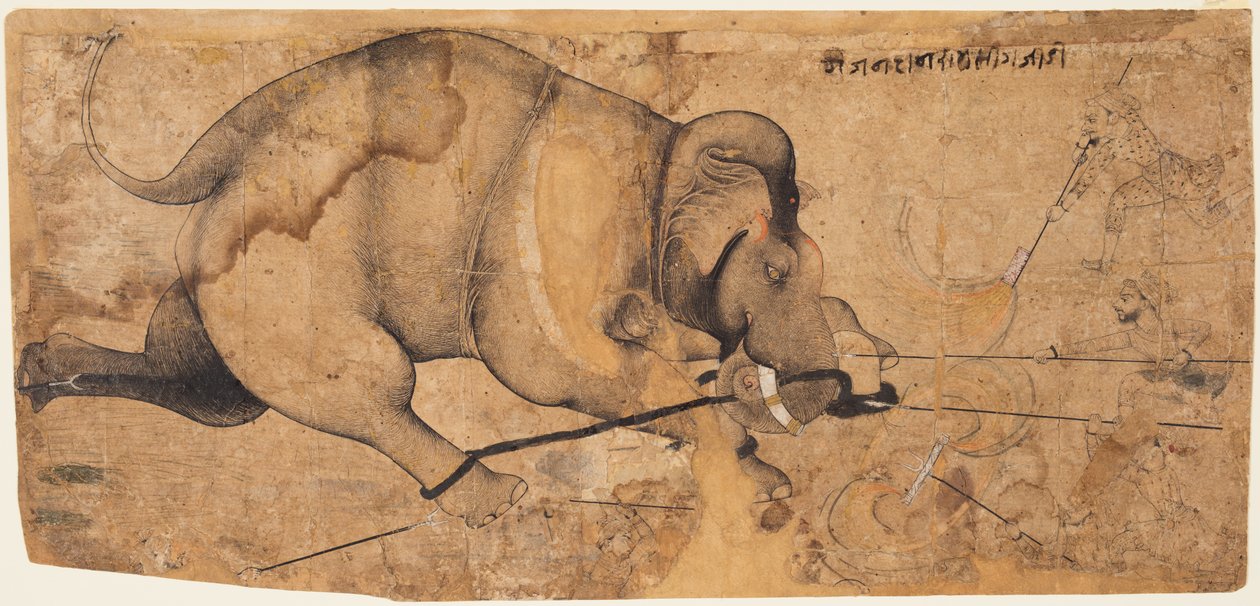 饶·拉姆·辛格（Rao Ram Singhs）的《大象消失了》，约克1700。 作者 不明