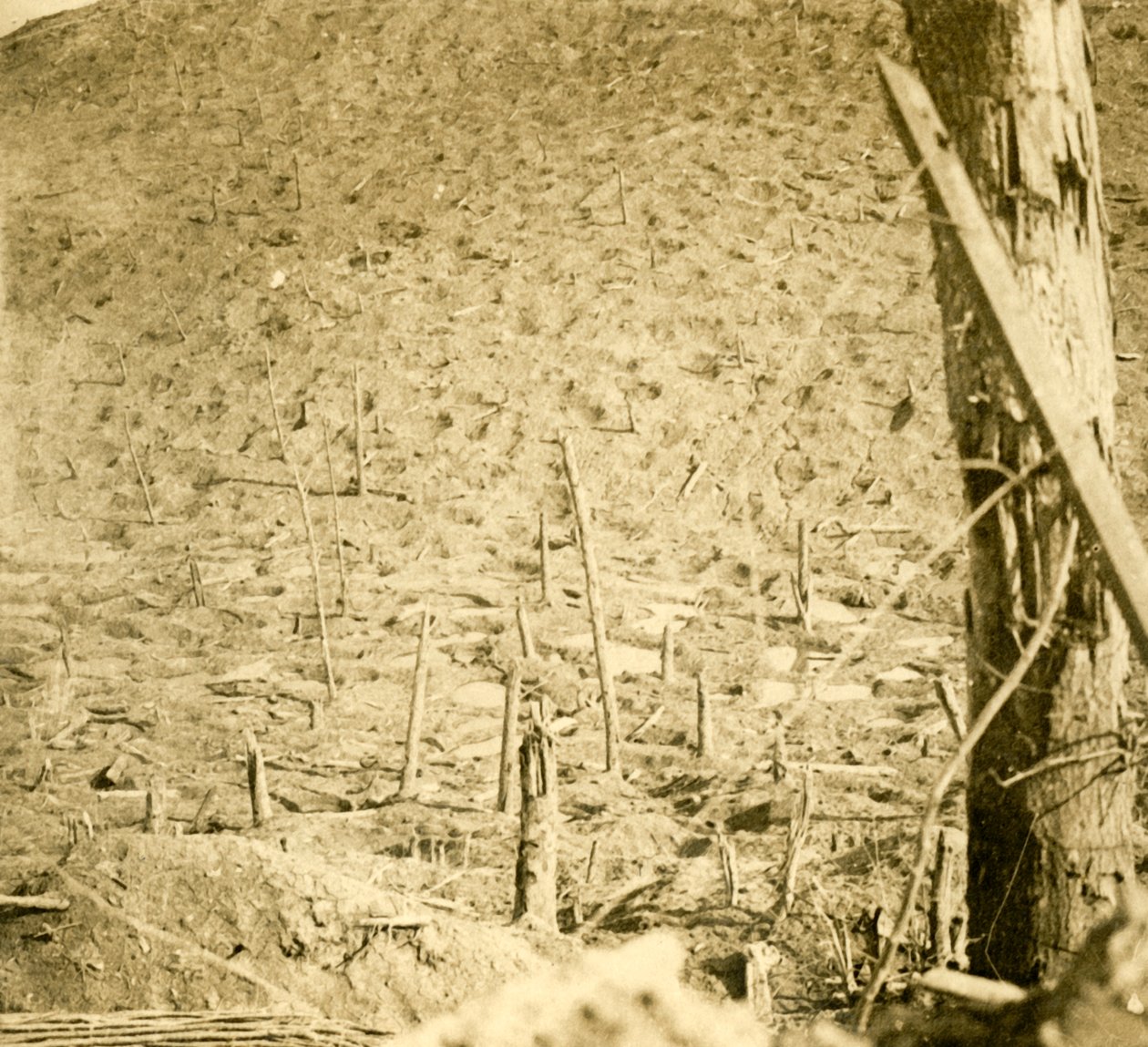 法国北部LesÉparges的山沟，c1914-c1918。 作者 不明