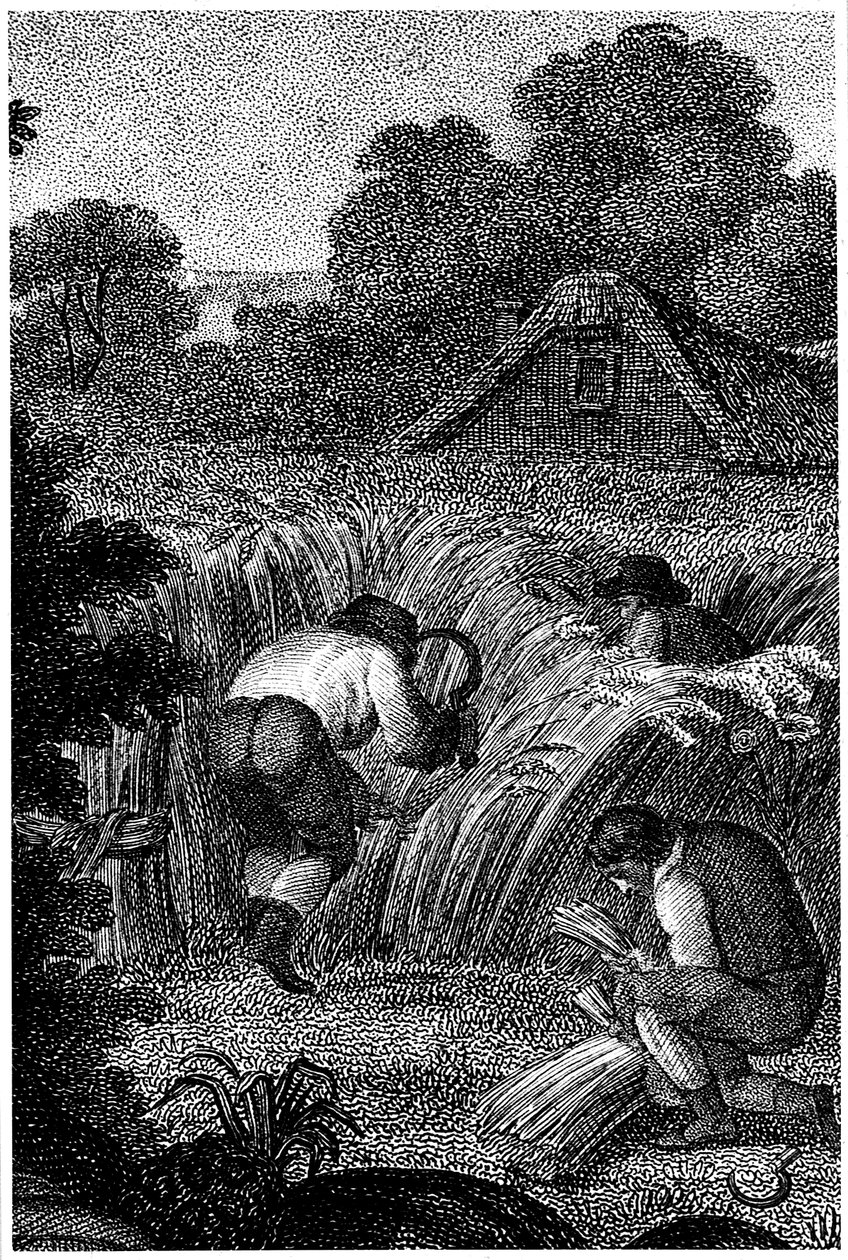 用镰刀收割并捆捆捆绳轮，英格兰，c1800 作者 不明