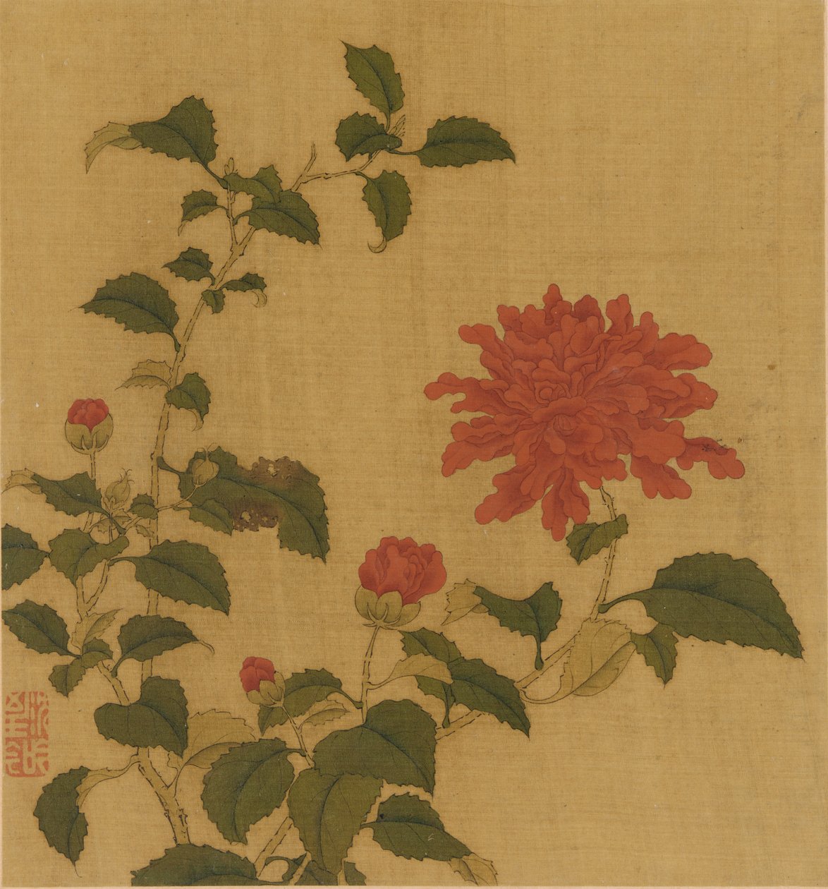 红牡丹，清代，18世纪。 作者 不明
