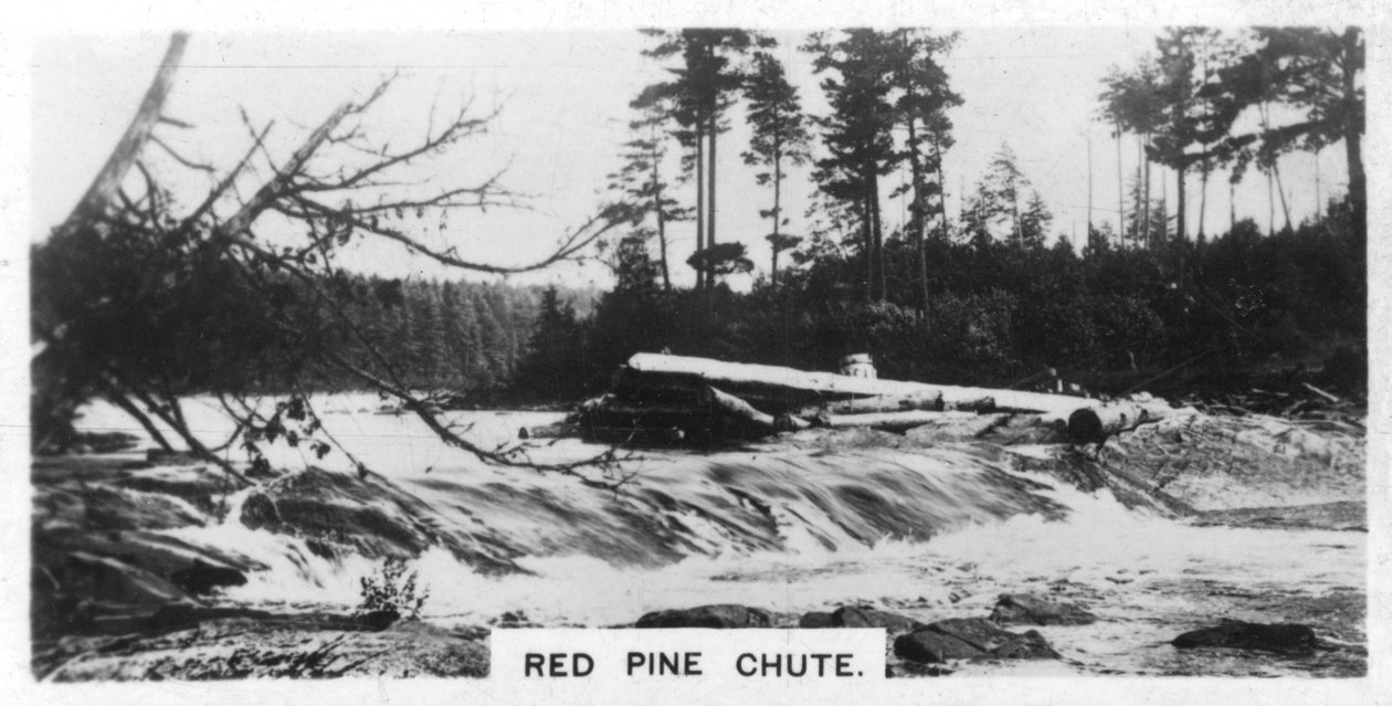 加拿大Red Pine Chute，大约1920年代 作者 不明