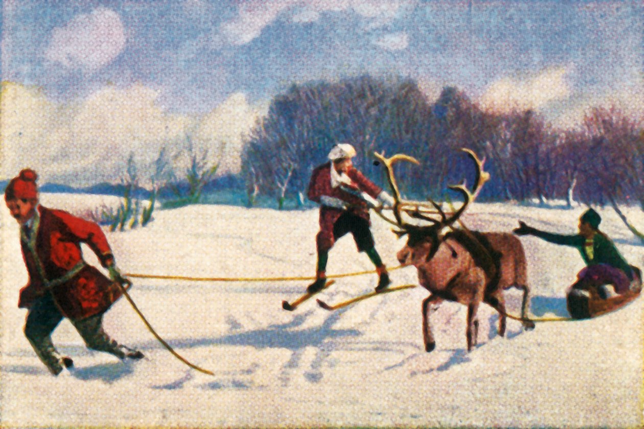 瑞典驯鹿爬雪橇，摄于1928年。 作者 不明