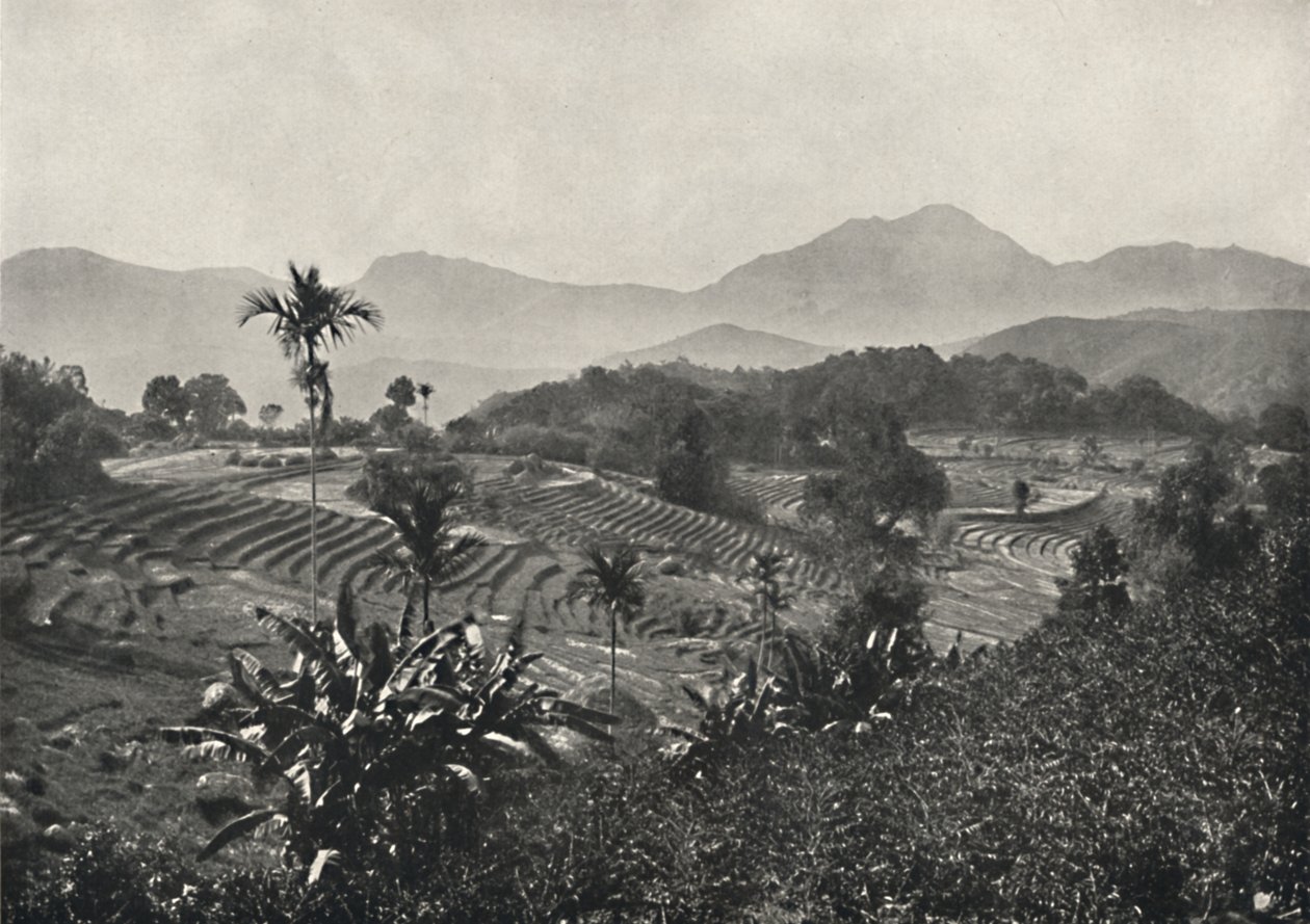 1926年在Terrasen停泊的旅行场 作者 不明